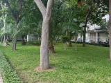 Bán lô góc 2mt dương khuê khu k1 phường Phan Rang