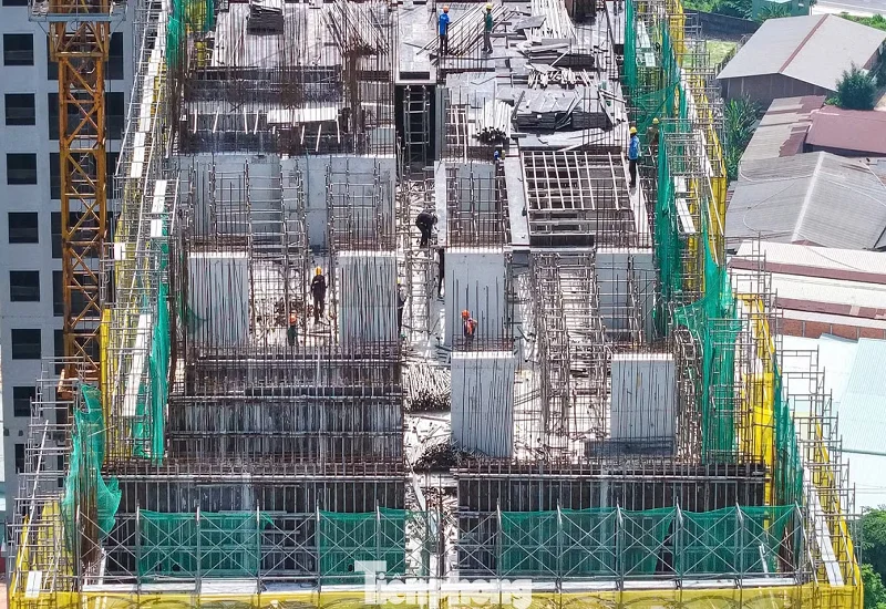 Sắp có thuốc trị môi giới thổi giá, tạo sốt đất ảo