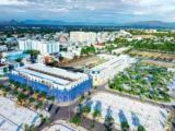 Shophouse Premium Ocean Gate: Kinh Doanh Gì Hiệu Quả Nhất?